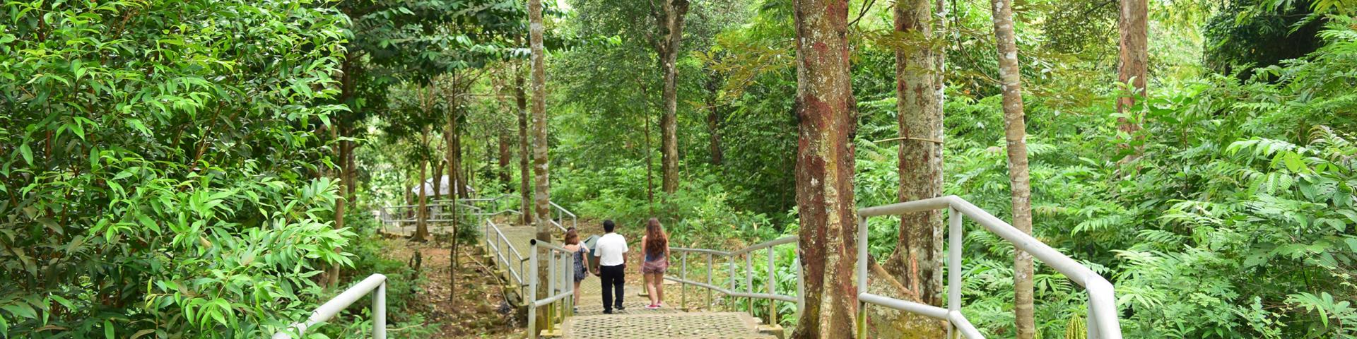 fot. Bintan Resorts Tour